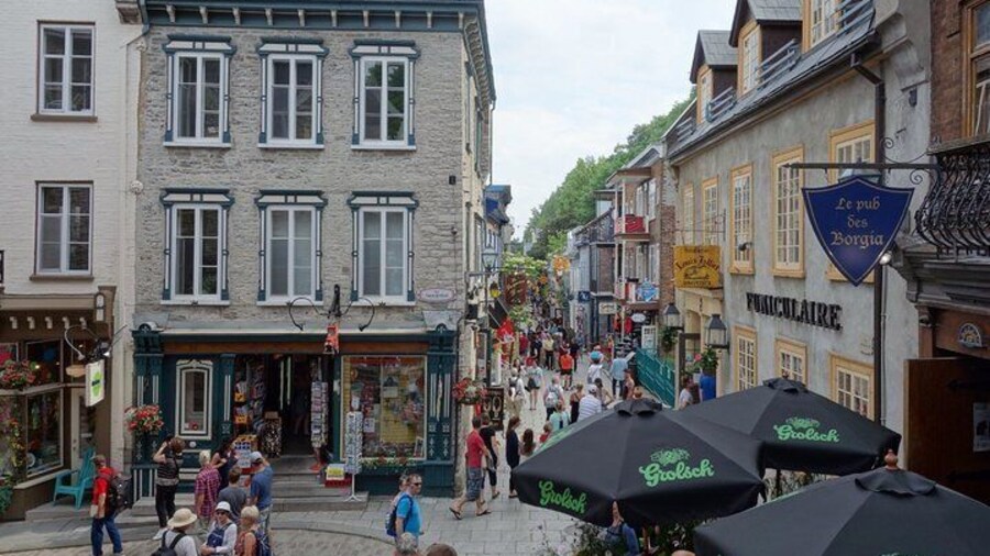 Montreal City Sightseeing Tour with Live Commentary