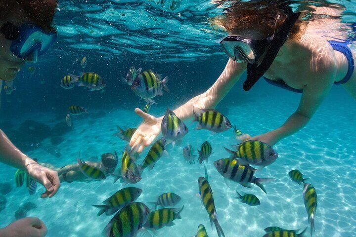 Miami to Key West Day Trip with Activity Options