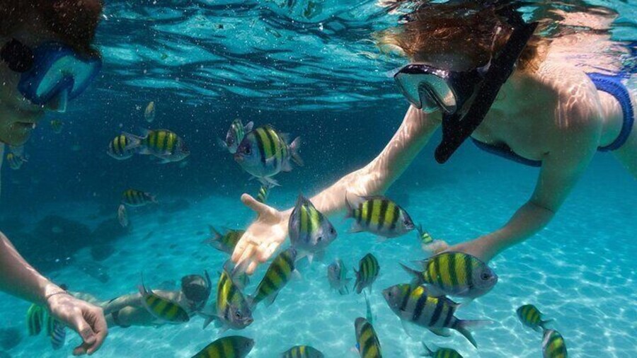 Miami to Key West Day Trip with Activity Options