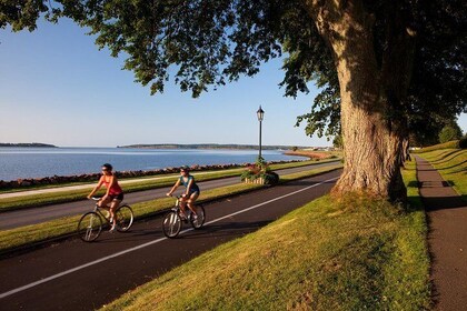 City Highlights Bus Tour of Charlottetown