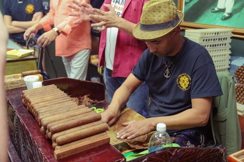 Cigar Factory Visit