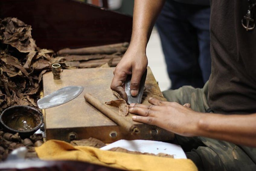 Havana Classic Cigar factory 