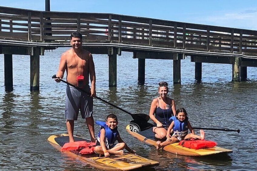 Dolphin and Manatee Stand Up Paddleboard Tour in Daytona Beach