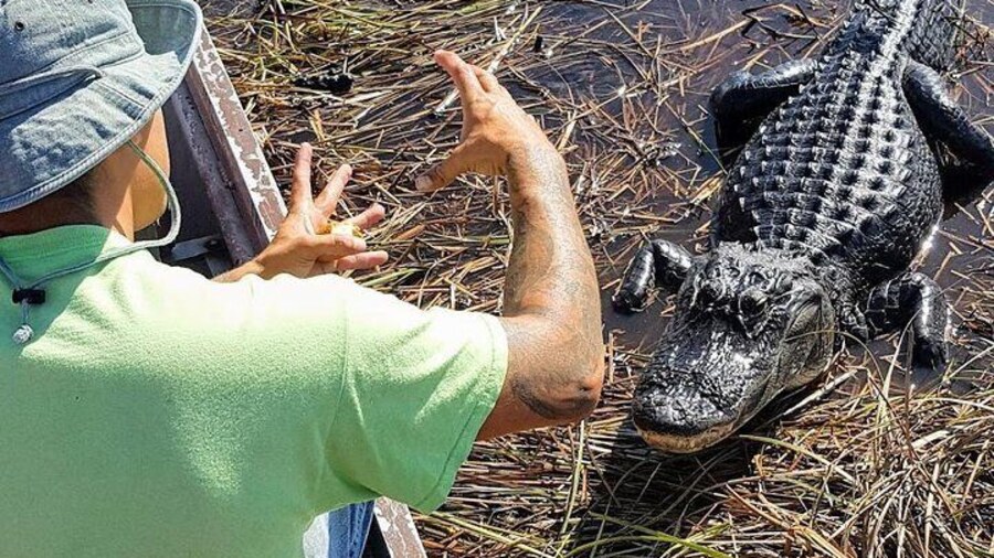 Smaller Airboat - The Real Everglades