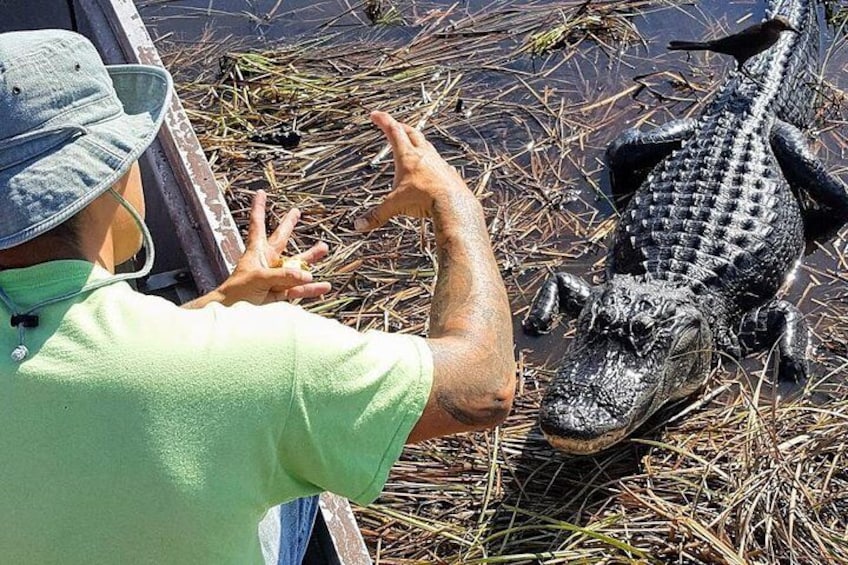 Smaller Airboat - The Real Everglades