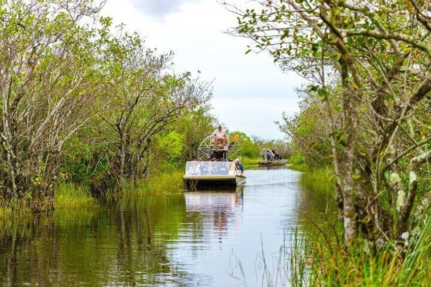 Everglades Airboat Safari