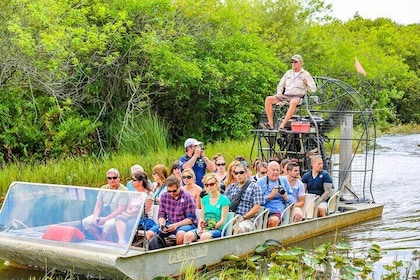 Aventura de safari en hidrodeslizador por los Everglades con transporte