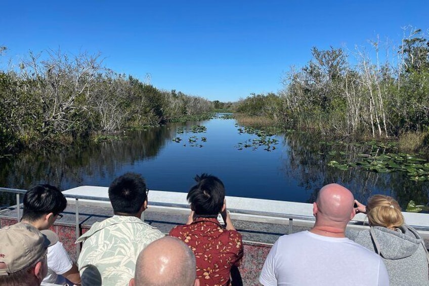 Everglades Airboat Tour - Morning or Afternoon - with or without Miami pick-up