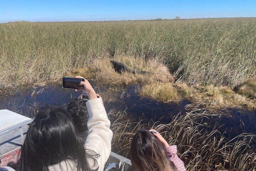 Everglades Airboat Tour - Morning or Afternoon - with or without Miami pick-up