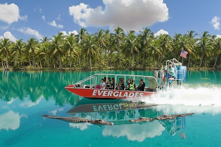Miami: Everglades Airboat and Wildlife Experience