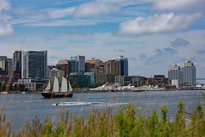 Tall Ship Silva Sailing Cruise