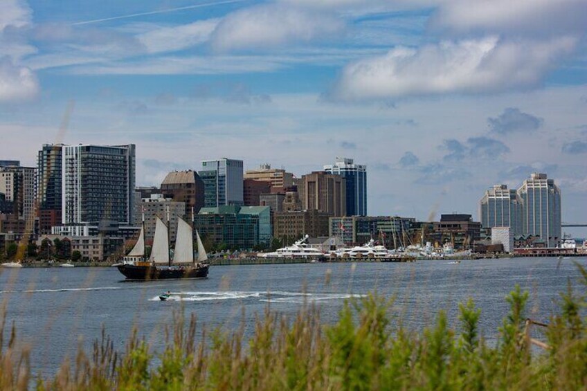 Tall Ship Silva Sailing Cruise as seen from Georges Island