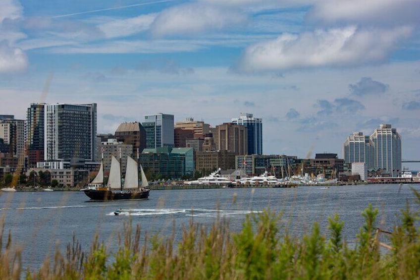 Tall Ship Silva Sailing Cruise as seen from Georges Island
