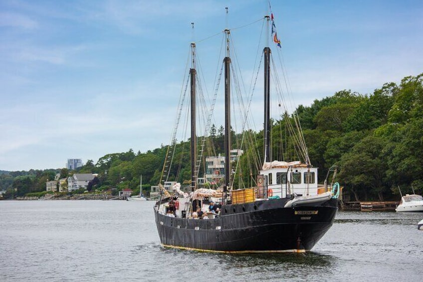 Tall Ship Silva cruises into the Northwest Arm