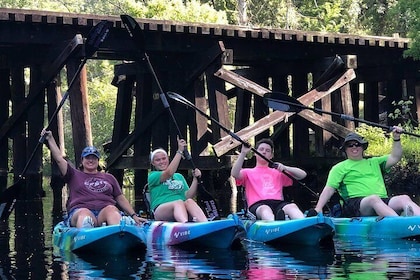 Guided Kayak Eco Tour: Real Florida Adventure
