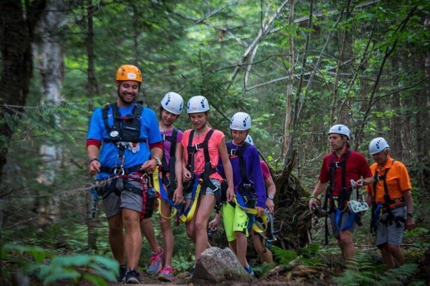 Guided Zipline Tour in Mont Tremblant
