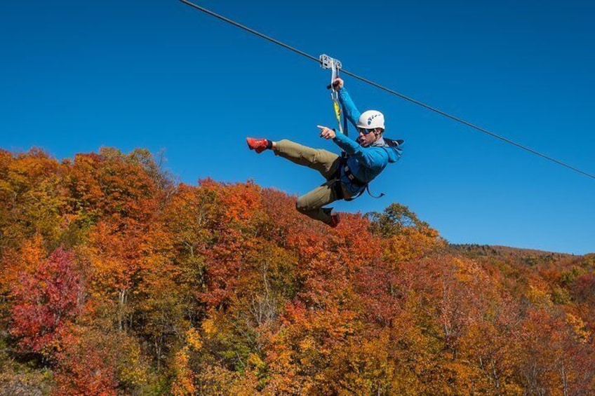Guided Zipline Tour in Mont Tremblant
