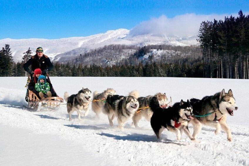 Mont-Tremblant Dogsled Adventure