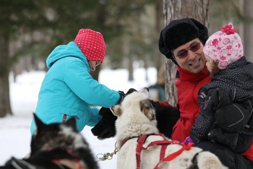 Dogsled Adventure in Mont-Tremblant