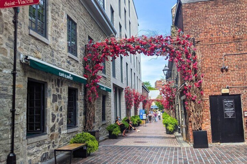 Stroll through the charming streets of old Montréal