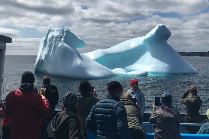 Newfoundland Puffin and Whale Watch Cruise