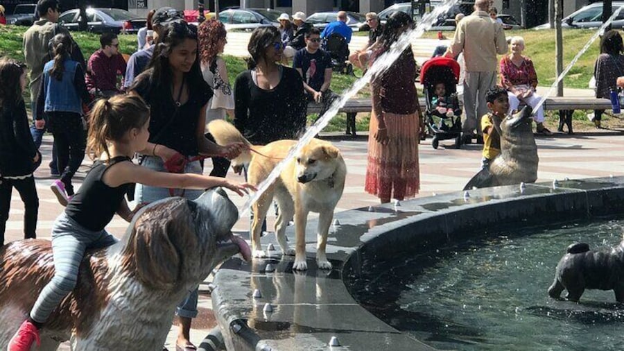 A fountain for dogs