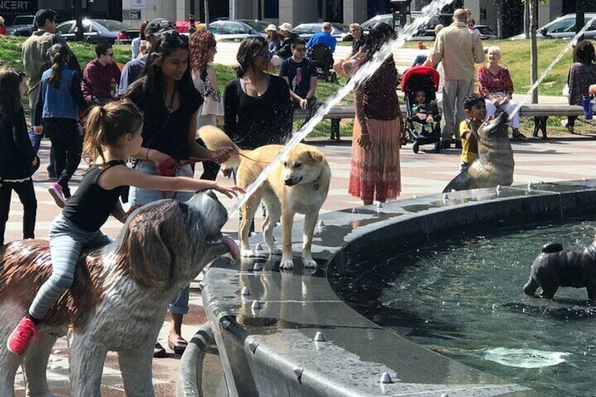 A fountain for dogs