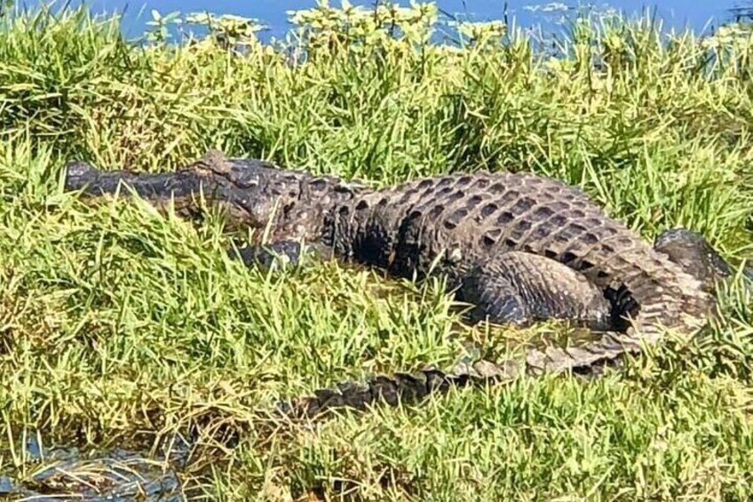 Saint Petersburg Preserve Bike Tour