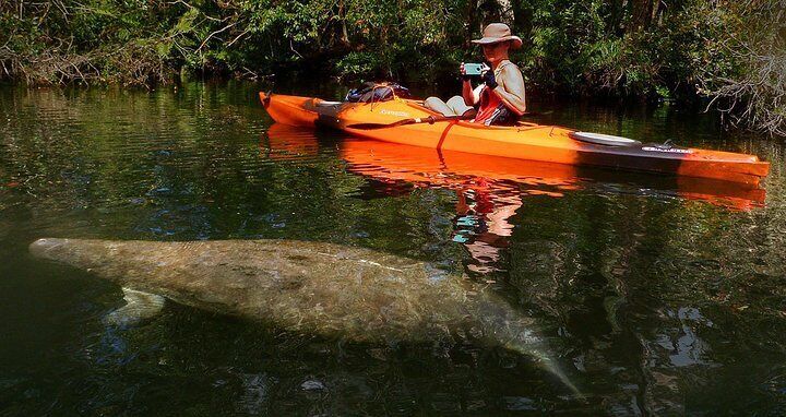 Cocoa Beach Night Time Bioluminescence Kayak Tour