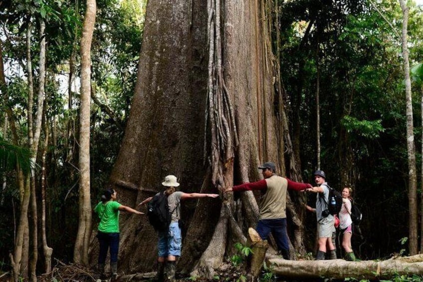 2-Day All Inclusive Guided Jungle Tour from Iquitos at Maniti Eco-Lodge