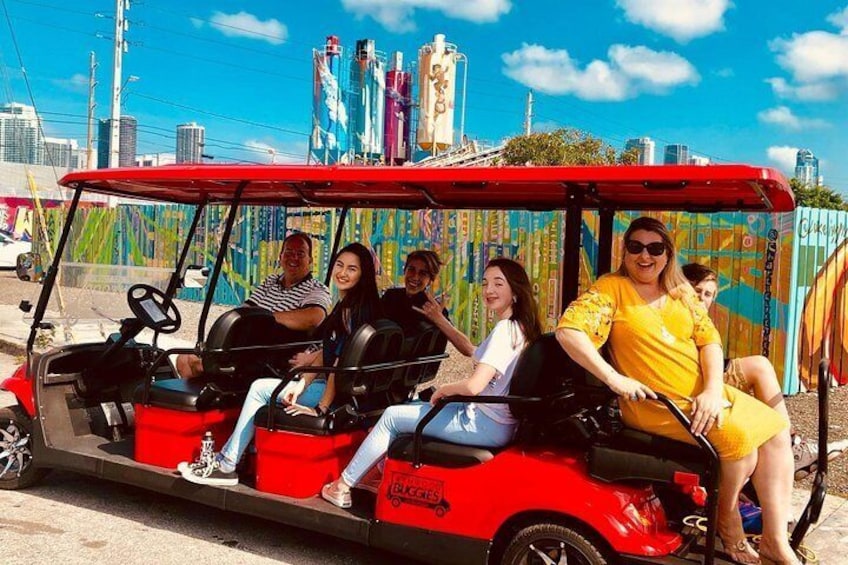 1 Hour Wynwood Graffiti Tour