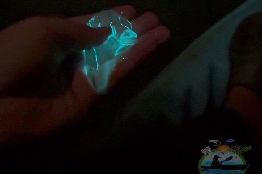 Florida Bioluminescence Kayaking Tour (Titusville)