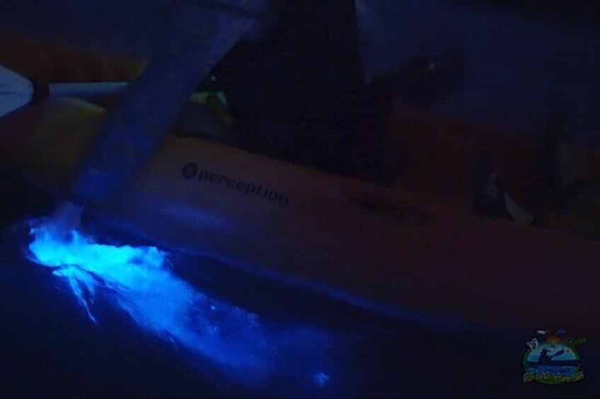 Florida Bioluminescence Kayaking Tour (Titusville)