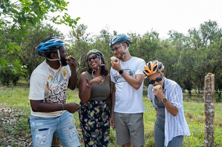Local Fruit Sampling