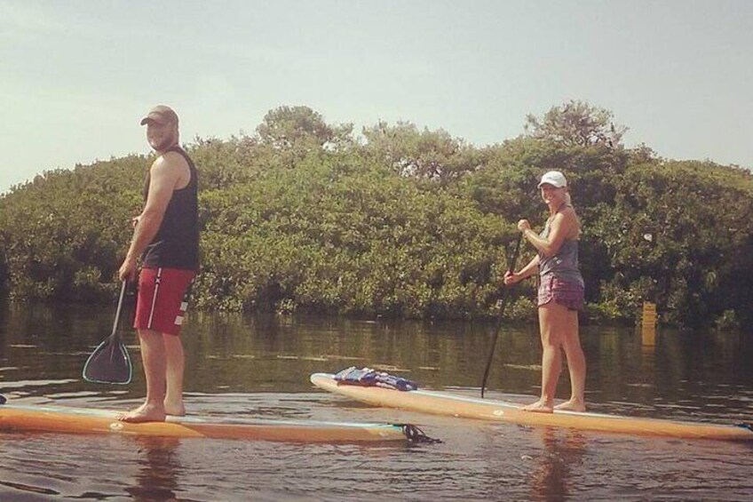 Paddle Board Tour