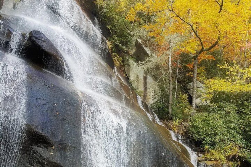 Waterfalls and Blue Ridge Parkway Hiking Tour (No Transportation)