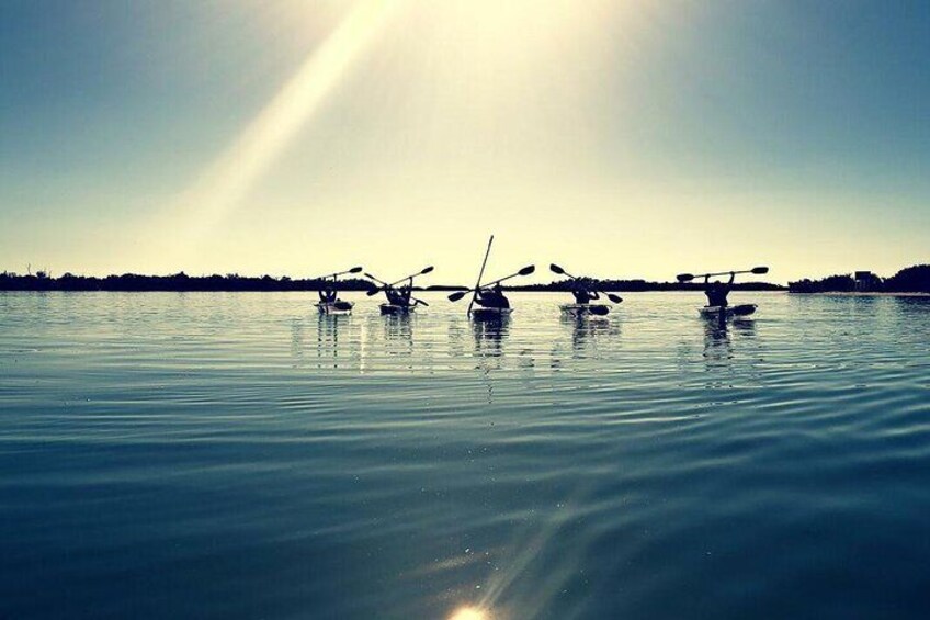 Small-Group Clear Kayak Tour in Shell Key