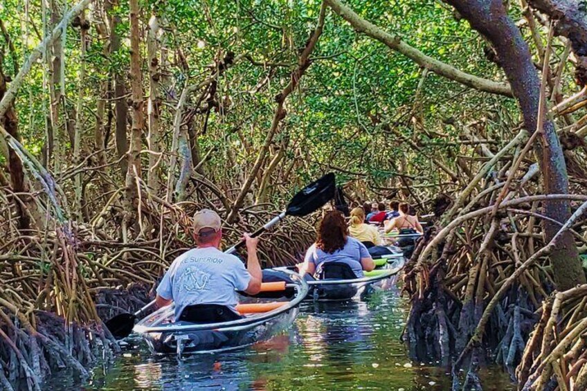 Shell Key preserve