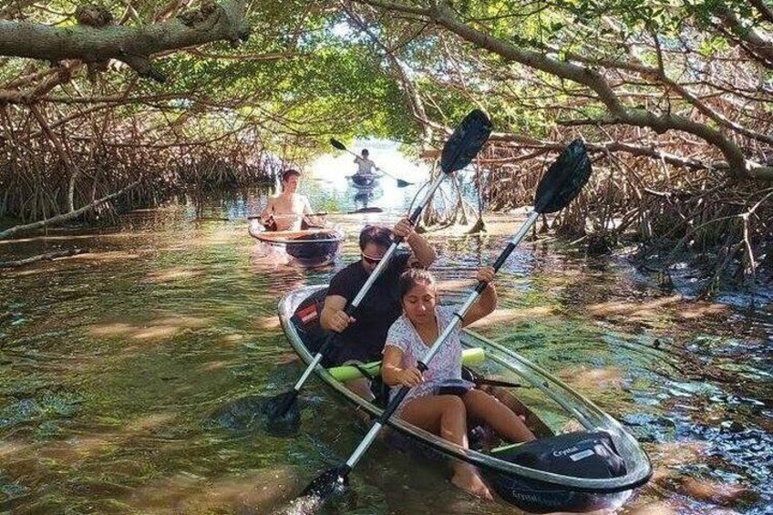 Small-Group Clear Kayak Tour in Shell Key