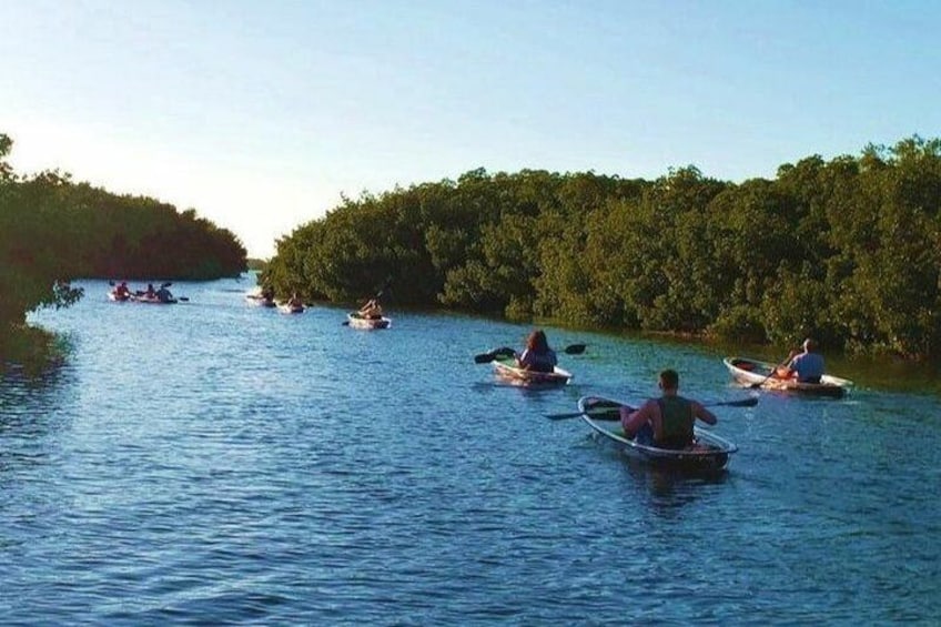 Small-Group Clear Kayak Tour in Shell Key
