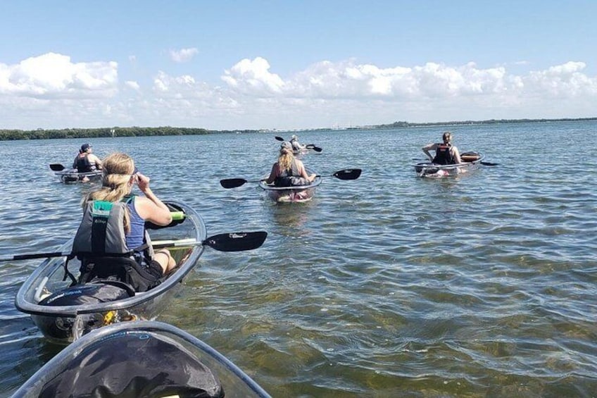Small-Group Clear Kayak Tour in Shell Key