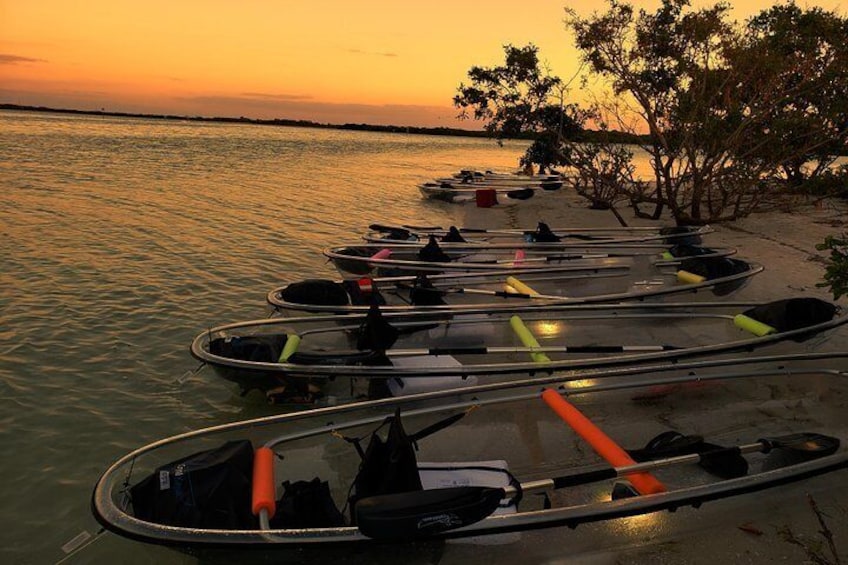 We use Crystal Clear Kayaks.