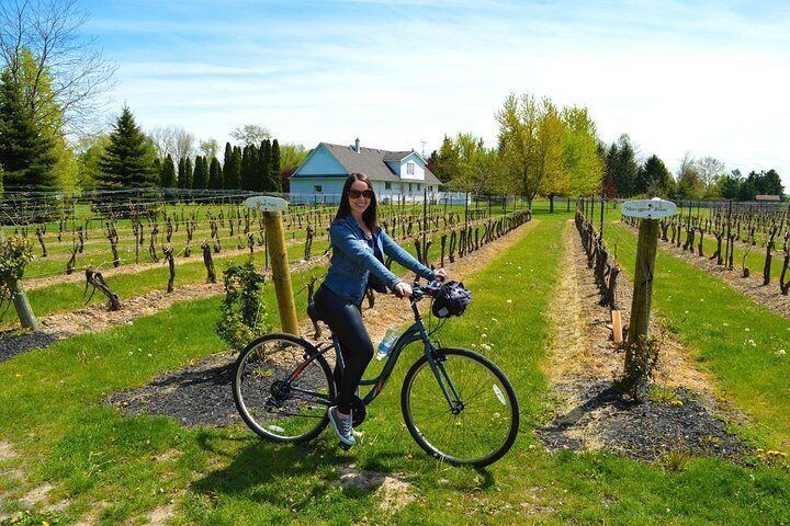 Niagara-on-the-Lake Cycle And Wine-Tasting Tour With Optional Lunch