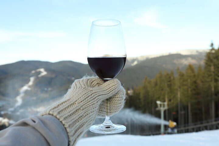 A toast to the season. Get out of the house this winter and join us for a fun filled day in Niagara's Wine Country. Lots of wine tastings to warm the belly and the soul. We tour weekends through March