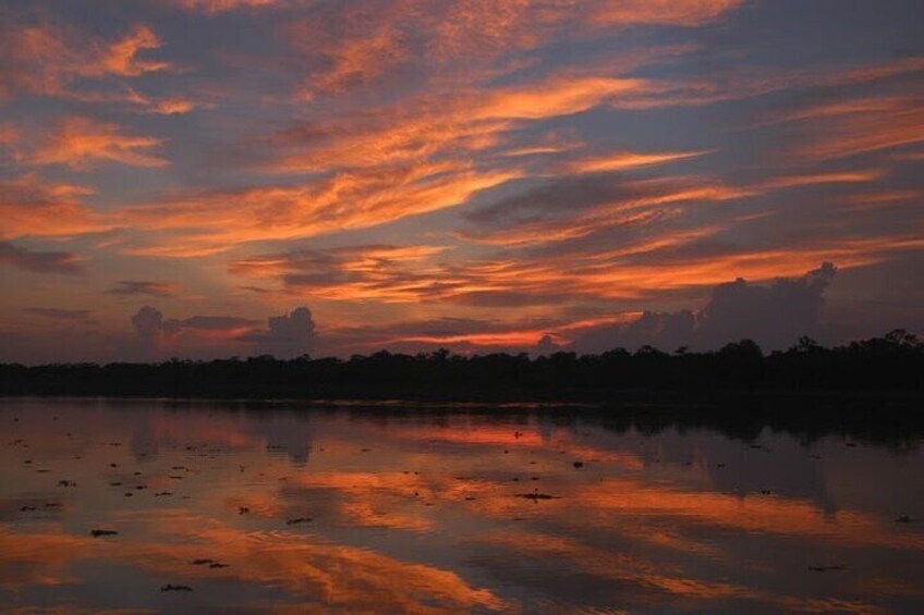 3-Day All Inclusive Private Guided Pacaya Samiria National Reserve from Iquitos