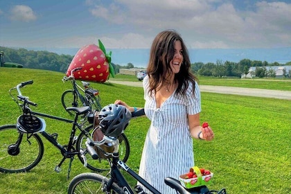 Quebec City - Electric Bike Rental on Ile d'Orléans