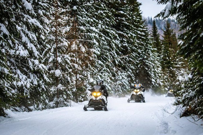 Mont-Tremblant Guided Snowmobile Tours