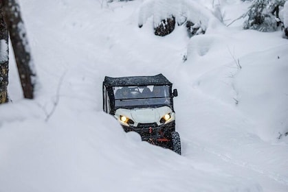 ATV Side by Side Guided 4x4 Tour