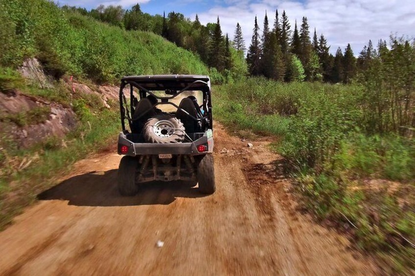 Dune Buggy 4 x 4 Tours