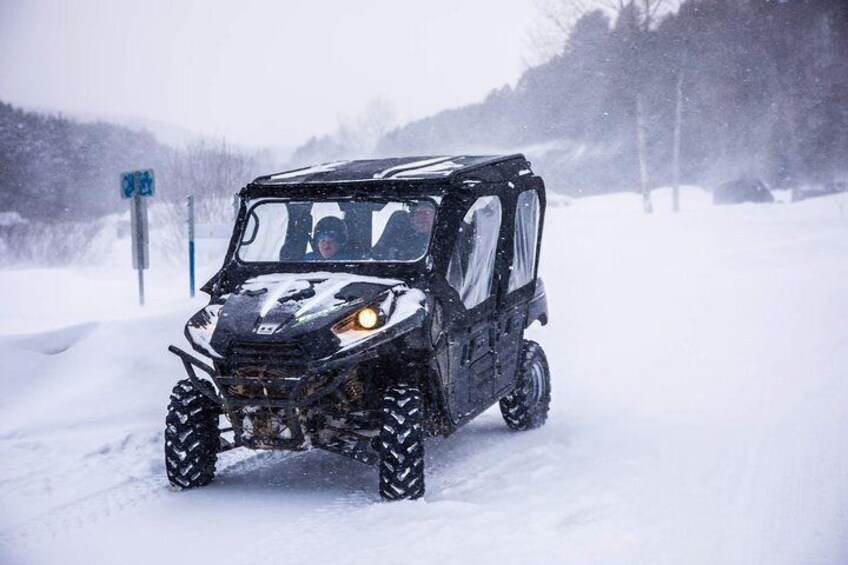 Dune Buggy 4 x 4 Tours